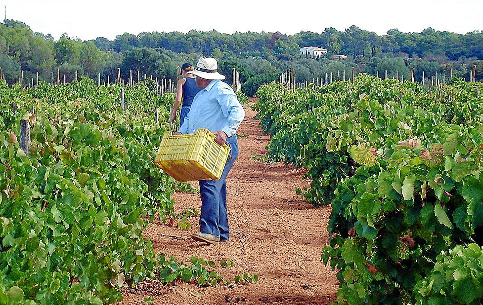 Las Cifras De Confirman El Importante Descenso De Producci N Del