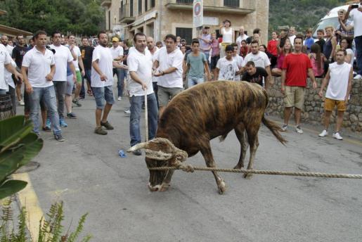 Correbou de Fornalutx