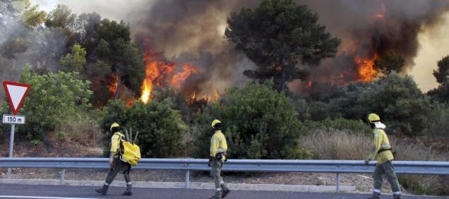 Mallorca sufre ocho incendios en 24 horas que podrían ser intencionados