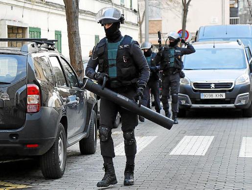 El principal montador de plantaciones de maría, entre los detenidos en la operación Ludar 388